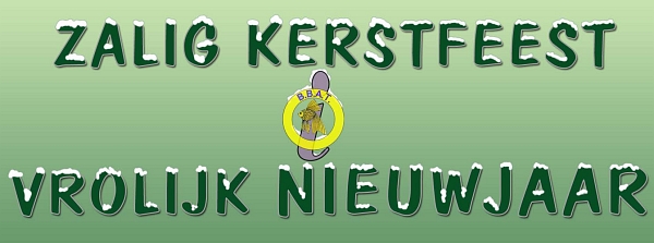 Zalig Kerstfeest - Vrolijk Nieuwjaar