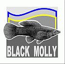 L.01 - BLACK MOLLY GENK