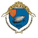 A.14 - A.H.V. COLISA MOL